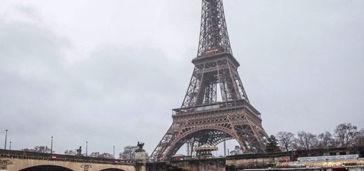 champion SIC SUP racing